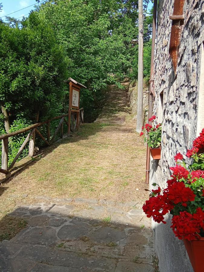 Mulini Di Verrucole Naggio  Εξωτερικό φωτογραφία